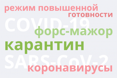 Чем режим ЧС отличается от режима повышенной готовности, а самоизоляция от карантина? Объясняем девять понятий, связанных с COVID-19