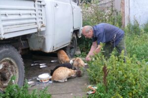В Ленобласти после убийства пенсионера без еды и воды остались около 30 кошек. Волонтеры забрали половину