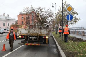 Бизнесмен, оплативший липовый сад на Исаакиевской площади, подает в суд. Смольный так и не вернул ему деньги