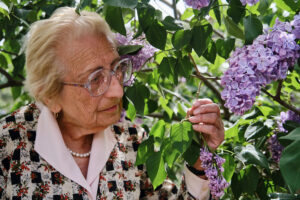 «Я провожу в саду больше времени, чем дома». Знакомьтесь: Нона Антадзе, тбилисцы зовут ее королевой сирени