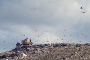 Петербургский мусор горит и отравляет почву на изношенных полигонах и переполненных свалках. Почему власти не справляются с переработкой отходов
