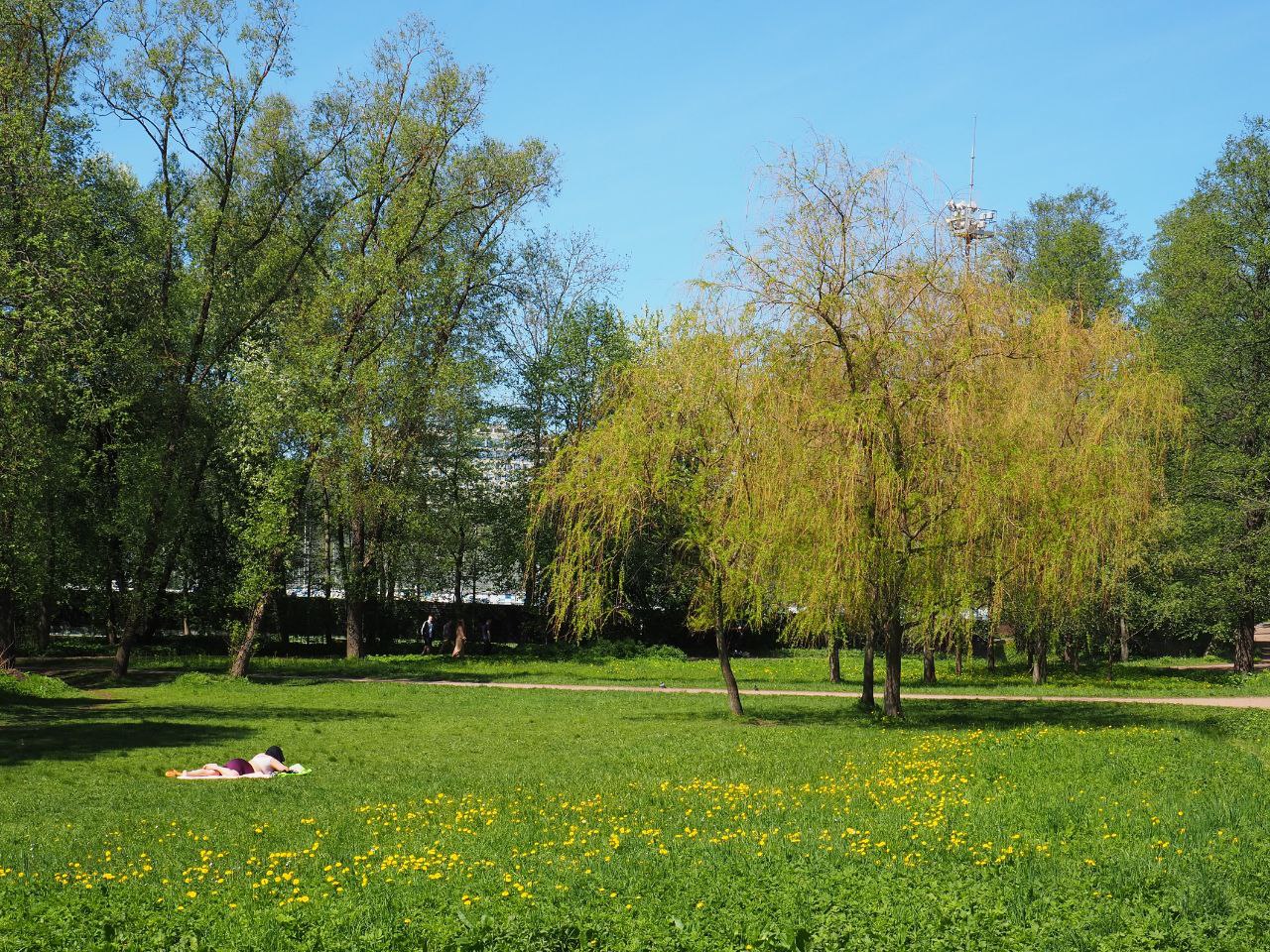 Фото: «Бумага»