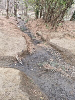 Дигомский лес затапливается, сообщают активисты