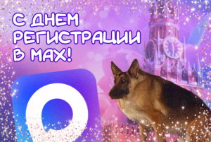 Открытки, рецепты и Кремль. Мы неделю сидели в мессенджере Мах — и теперь рассказываем, что там читают и кто там набрал миллион подписчиков